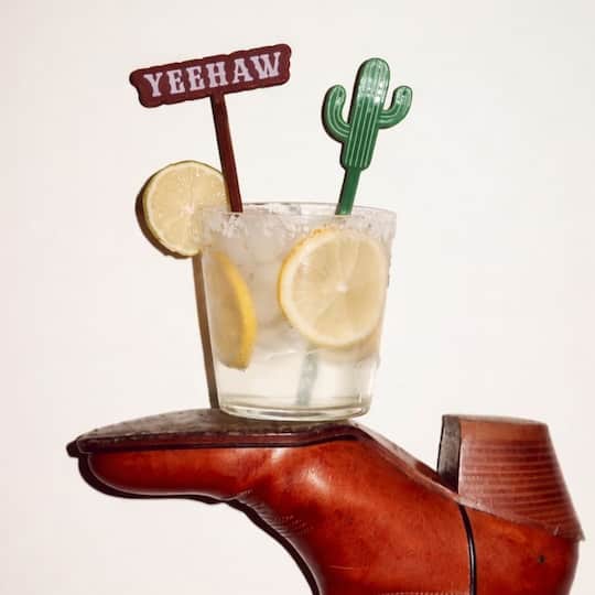 Rootin Tootin Rodeo Drink Stirrers, 4ct.